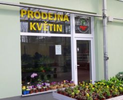 Škola Jarov - školní prodej květin