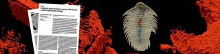 Poslední večeře ordovického trilobita v časopise Nature