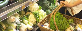 veganske supermarkety praha Prodejna biopotravin a zdravé výživy, vegan restaurace Country Life