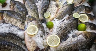 obchody s rybami praha Rybí Ráj Prodej Živých Ryb