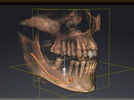 dental clinics in prague Alfa-Dental s.r.o.