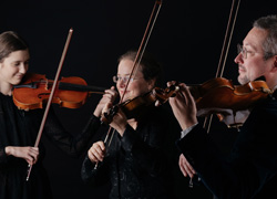 flute lessons prague Violin Lessons - Alexander Shonert